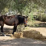 Le Palombelle Pensionat Otranto