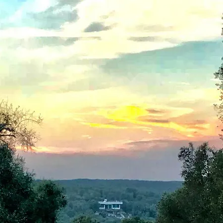 Le Palombelle *